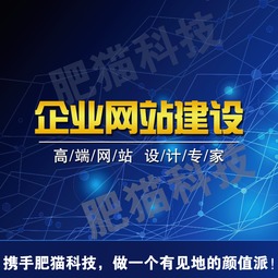 肥猫科技 高颜值网站与网络技术开发设计的制胜之道